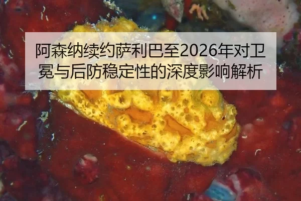 a-sen-na-xu-yue-sa-li-ba-zhi-nian-dui-wei-mian-yu-hou-fang-wen-ding-xing-de-shen-du-ying-xiang-jie-xi-2-882.jpg
